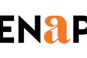 Rang De Leverages Scienaptic’s AI Platform To Enhance Credit Underwriting for P2P Loans